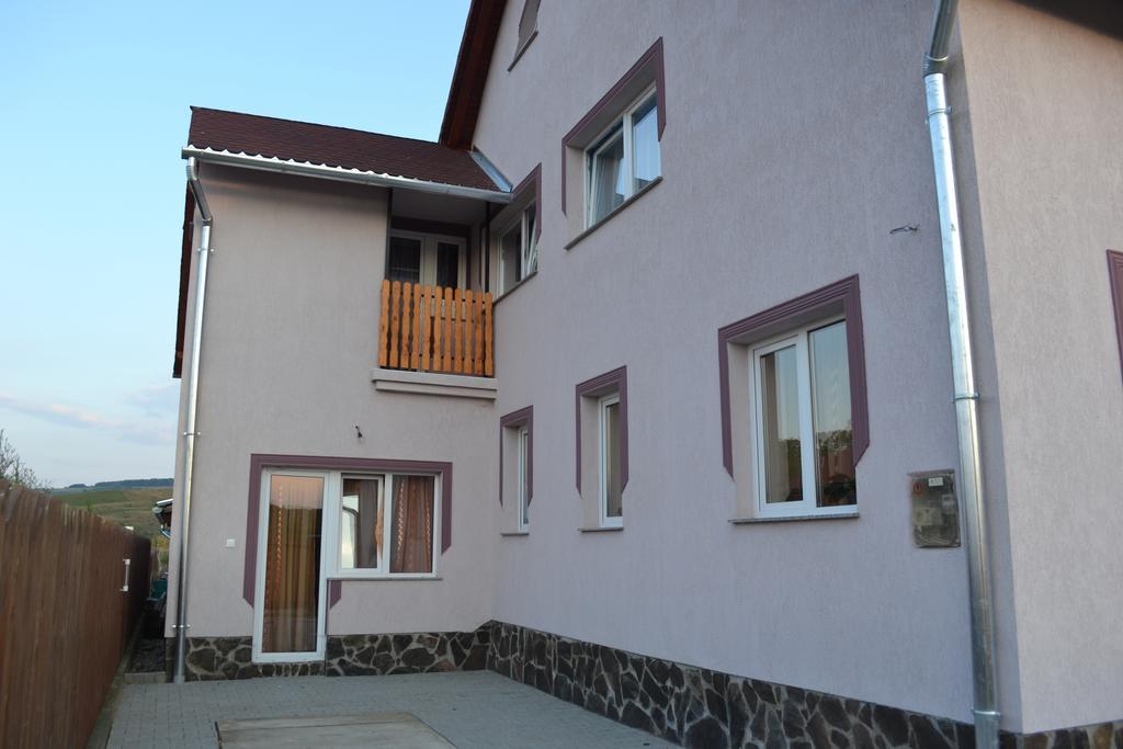 Ersa Panzio Hotel Bisericani  Exterior foto