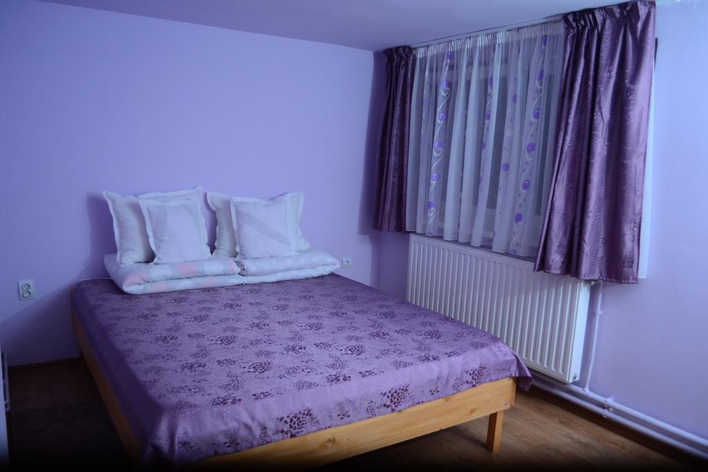 Ersa Panzio Hotel Bisericani  Quarto foto