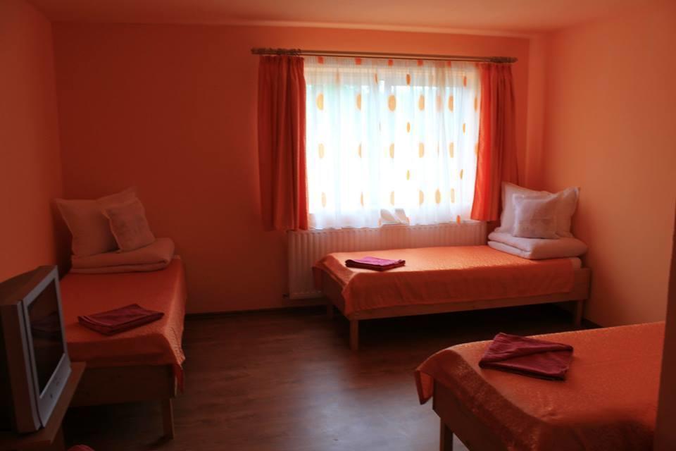 Ersa Panzio Hotel Bisericani  Quarto foto